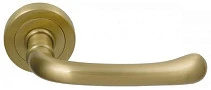 Фото «M.B.C. Beta»